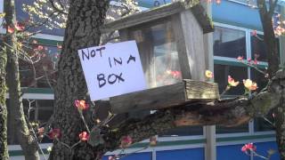 Green Eggs And Ham Trailer