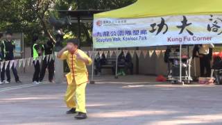 香港功夫表演2017012225