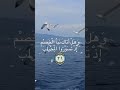 تلاوة عطرة اصبر على ما يقولون واذكر عبدنا داوود ذا الأيد إنه أواب