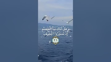 تلاوة عطرة /اصبر على ما يقولون واذكر عبدنا داوود ذا الأيد ۖ إنه أواب