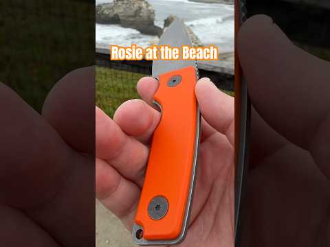 Bonding with the Rosie
