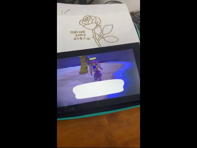 姫ののんびり離島ガチャLIVE❤︎【あつまれどうぶつの森】