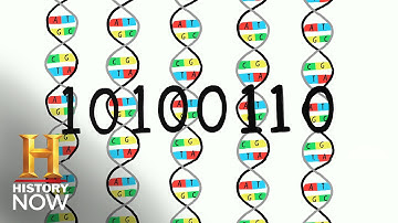 Andrew Hessel is Introducing the 2nd Human Genome Project | History NOW