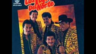 los tigres del norte companera chords