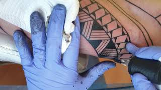 Tattoo Tribal  - Polynesian Maori Reference