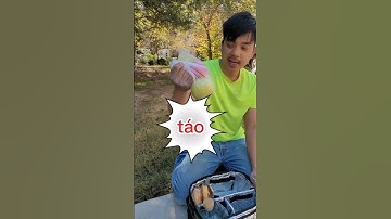 Bữa Cơm Trưa Đậm Chất của một Công Nhân #vuive #hai #haihuoc #cuoimoingay #cuoithugian #shorts