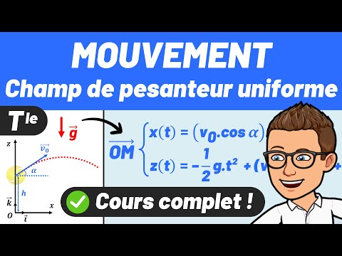 MOUVEMENT 🥎 CHAMP