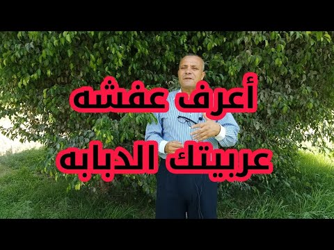 أعرف ٧ قطع فى عفشه الدبابه