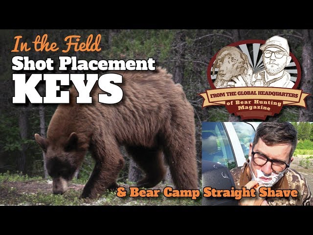 VLOG #19: IN-THE-FIELD TIPS for shot placement on BEAR class=