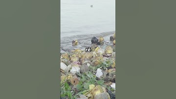 Bi kịch Biển Hồ  Người Việt bị cưỡng bức 2025 09 23