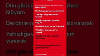 Funda Arar Bağışla