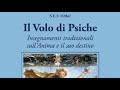 Il volo di psiche secondo sigfrido hbel  incontri dautore