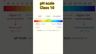pH scale, class 10#class10science #acidbasesandsalt