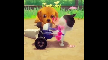 Kitten Match game ads shorts 