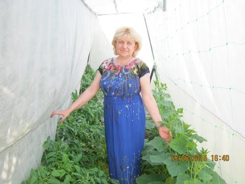 Video: Greenhouses And Hotbeds "Teplitsa-Tsaritsa"