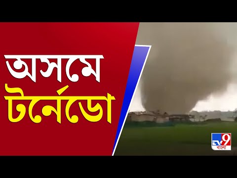 Assam Tornado Viral Video: এ যেন পুরো হলিউড সিনেমা, অসমের টর্নেডোর ভিডিয়ো ভাইরাল