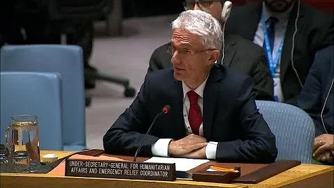 Yemenis facing ‘acute food insecurity’ - Security Council Briefing