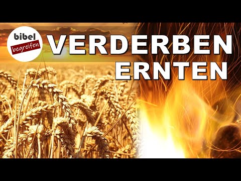 Video: Was bedeutet verderben?