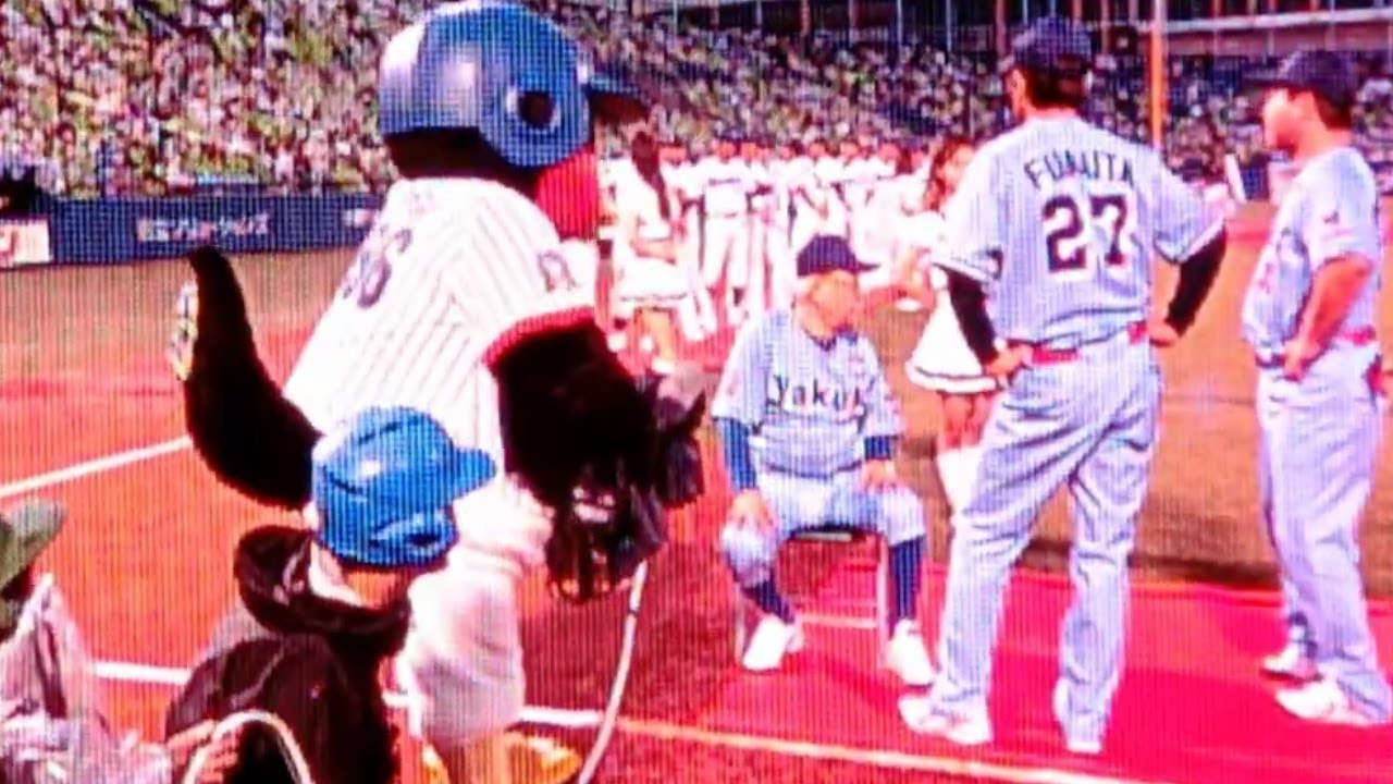 ノムさんを撮りまくるつば九郎先生☆【プロ野球 ヤクルトスワローズ 