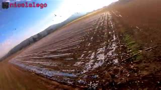 nicolalego chasing birds with his Drone [FPV Ticino]