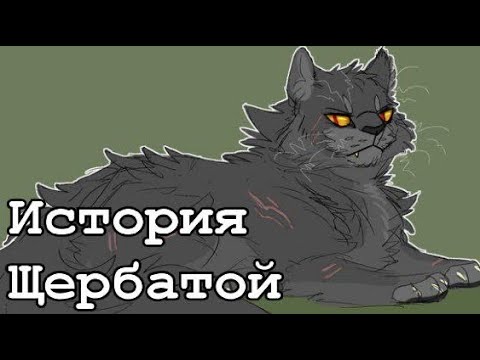 Видео: История Щербатой/Коты-воители