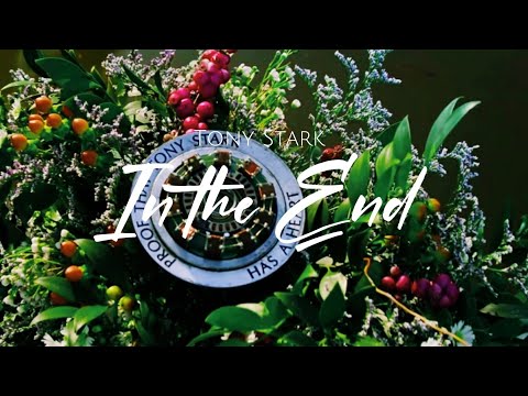 [TonyStark] - In the End (short Edit)
