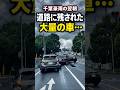 【千葉豪雨の翌朝】道路に残された大量の車…