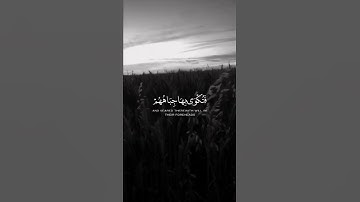 يوم يحمى عليها في نار جهنم فتكوى بها جباههم || سورة التوبه || فارس عباد