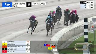 Gulfstream Park June 17, 2023 Race 8