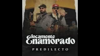 Locamente Enamorado Predilecto