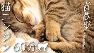 【安眠用BGM】猫エンジン60分