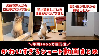 年間5000万回再生されたデュフィルノショート名作選