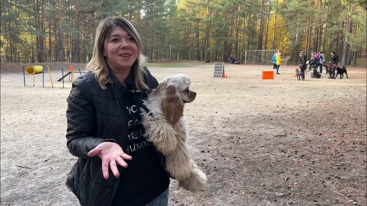 Camper dog. Год собаки. Camping with dogs. Camper dog. Ерин дог кемп московская область.