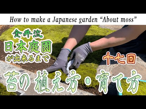 [2-17] How to make Japanese garden! "How to plant and grow moss"