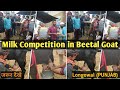 Milk Competition in goat || Highest Milk Yield in Goat || Goat Farming || Goat Training