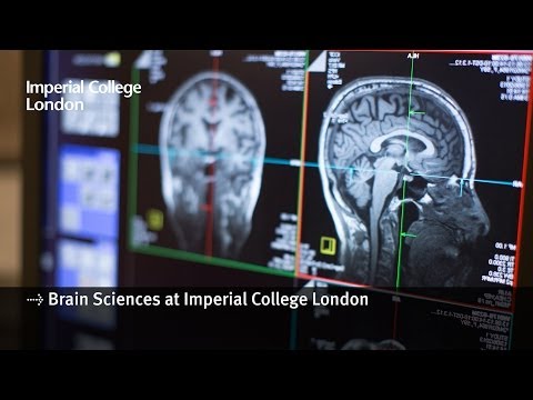 Brain Sciences research at Imperial College London thumbnail