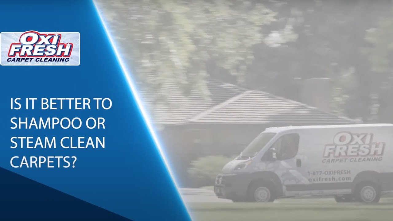 Is it Better to Shampoo or Steam Clean Carpets Oxi Fresh Carpet