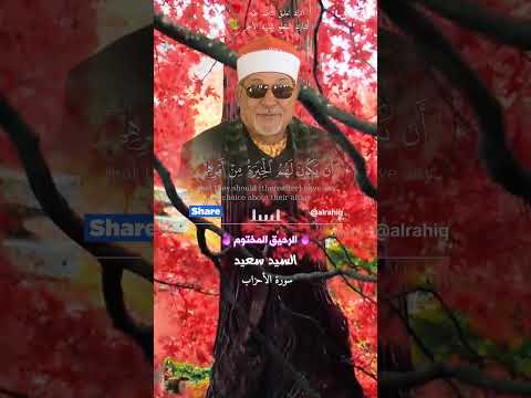 وما كان لمؤمن ولا مؤمنة اذا قضى الله ورسوله امرا القارئ الشيخ السيد سعيد