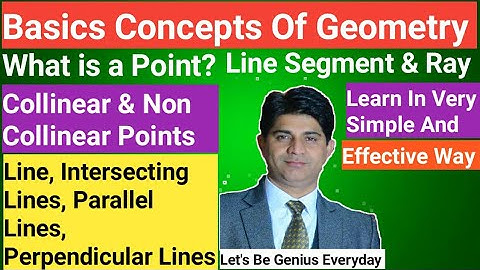 Basic Concepts Of Geometry / Point / Collinear & Non Collinear Points / Line / Line Segment // Ray