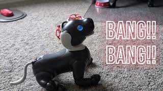 aibo ERS1000  Comparing 'Roll Over' to 'Play Dead' (or 'Bang, Bang')