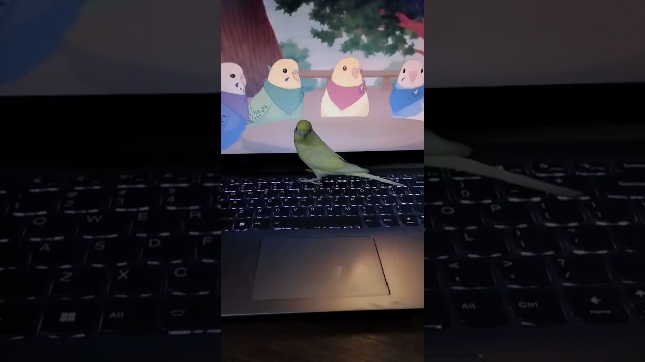 birb anime 