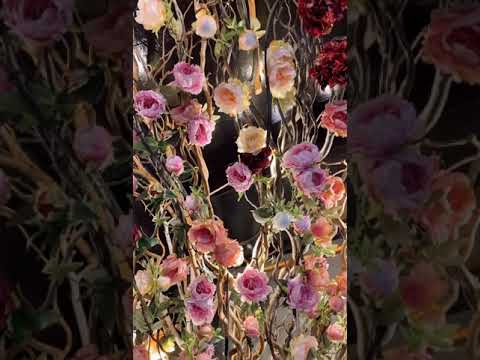 Βίντεο: Ζωντανά και τεχνητά λουλούδια στο εσωτερικό του διαμερίσματος