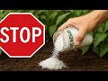 Epsom Salt Is Ruining Your Garden—Here’s Proof