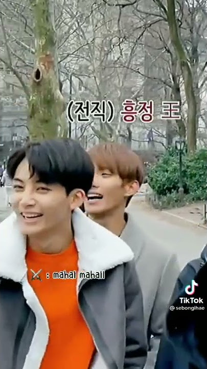 Mahal sampai ke New York 😭😭 #seventeen