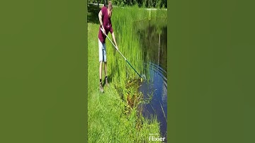 "The Yard Blade"™ Makes cutting cattails EASY #SHORTS