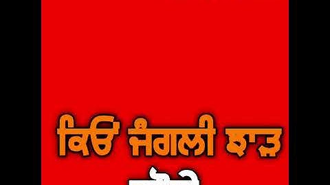 NEW DHARMIK RED SCREEN STATUS. GURU NANAK DEV JI RED SCREEN WHATSAPP STATUS. DHARMIK VIDEO STATUS