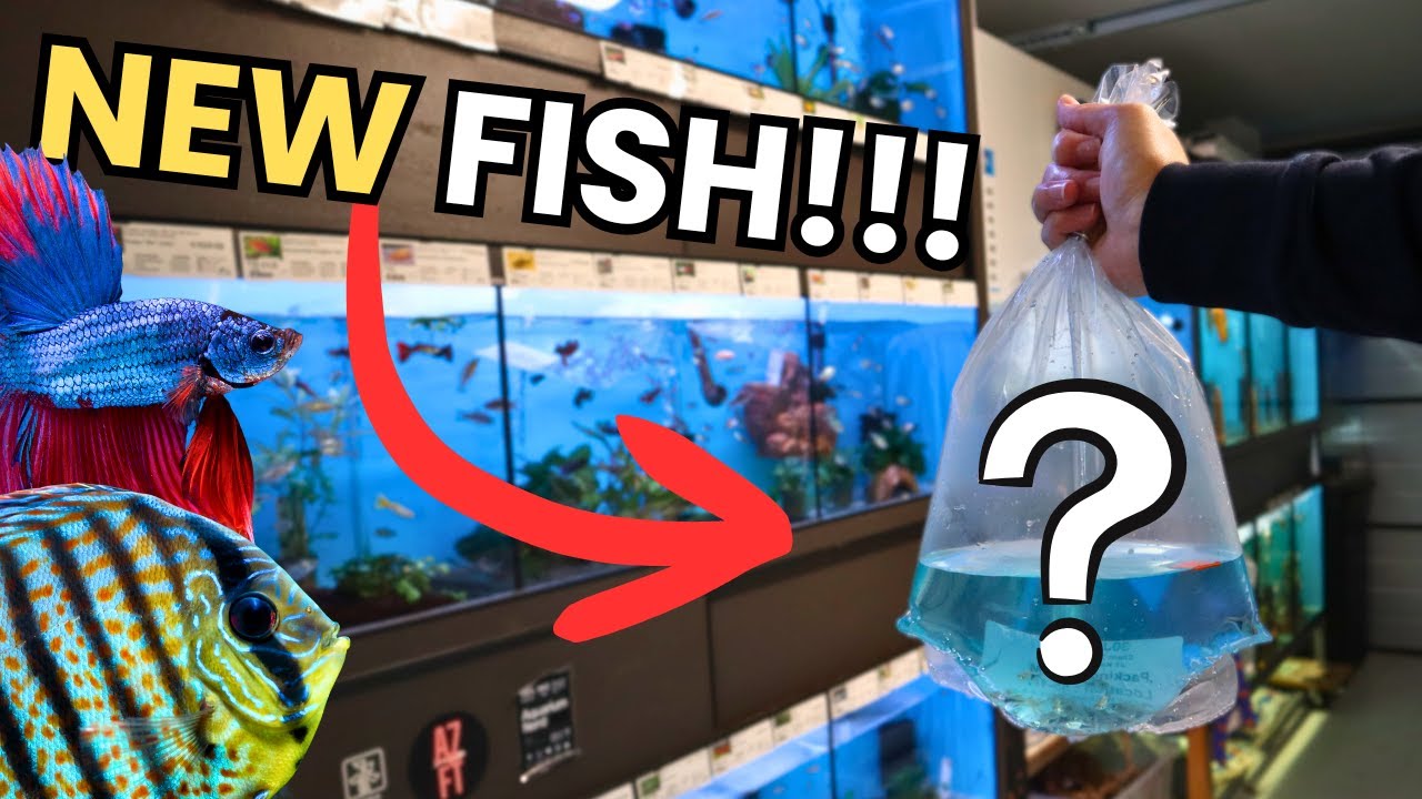 Распаковываю рыбу ЛУЧШЕГО качества для своего гаражного рыболовного магазина!