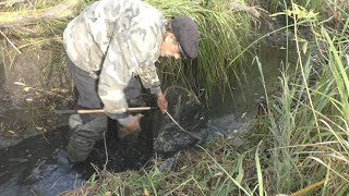 Вьюн, экскаватор и секретный пруд: на канале \