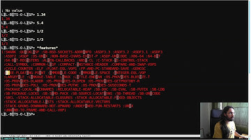 Little Bits of Lisp - Floats dont have to be ieee754 floats