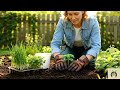 Home Grown Organic Herb Kit Instructional Video